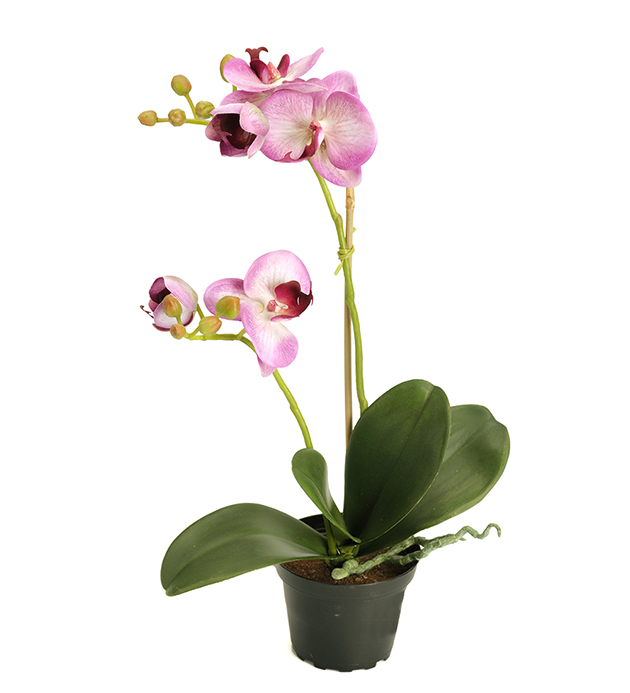 Orkidé 45 cm