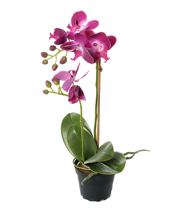 Orkidé 45 cm