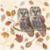 Lunsj Servietter Owl Couple