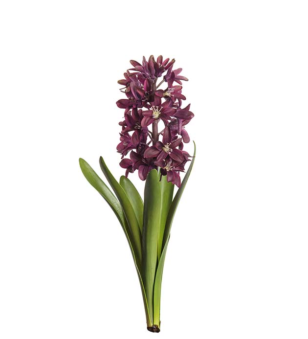 Mr Plant | Kunstige Planter | Svibel lilla | 32 cm