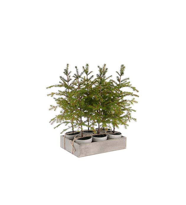 Mr Plant | Kunstige Planter | Gran grønn  | 45 cm