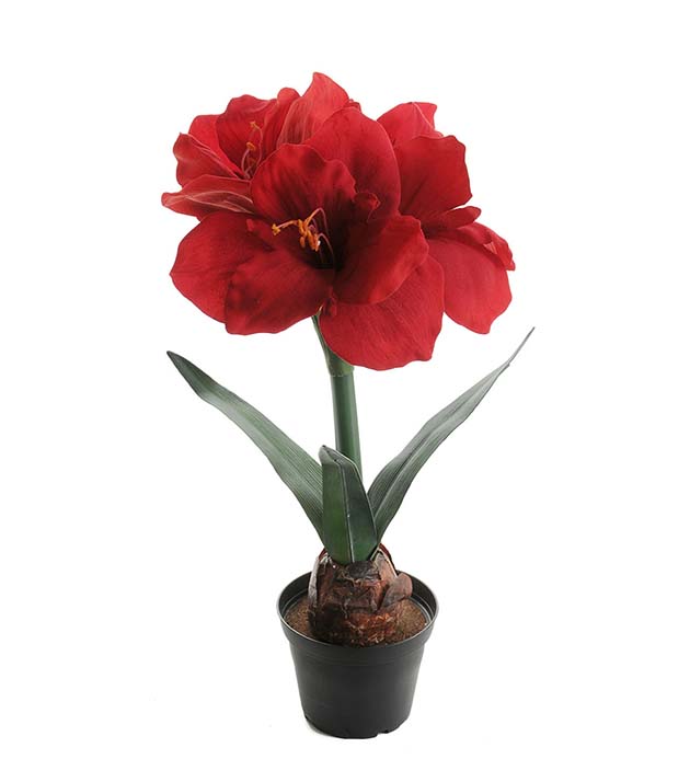 Mr Plant | Kunstige Planter | Amaryllis rød  | 45 cm