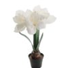 Mr Plant | Kunstige Planter | Amaryllis hvit  | 45 cm