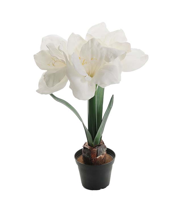 Mr Plant | Kunstige Planter | Amaryllis hvit  | 45 cm