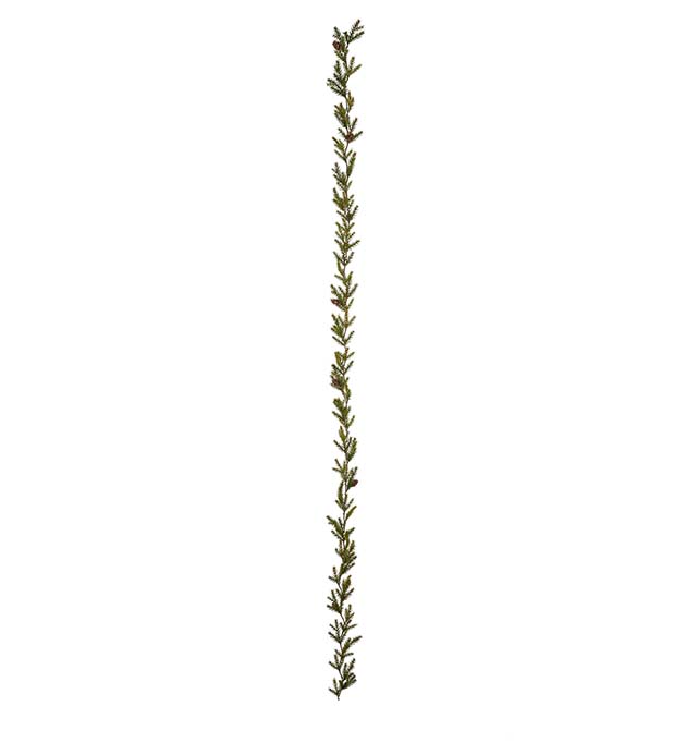 Mr Plant | Kunstige Planter | Grangirlang grønn | 180 cm