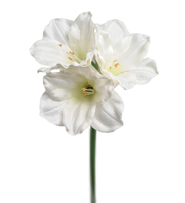 Mr Plant | Kunstige Planter | Amaryllis hvit  | 65 cm