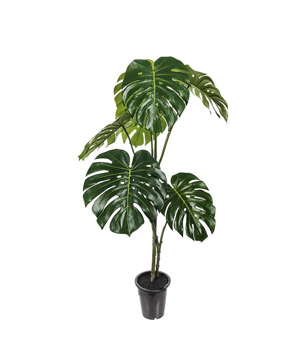 Mr Plant | Kunstige Planter | Monstera | 120 cm