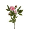 Mr Plant | Kunstige Planter | Pion Rosa | 65cm