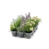Mr Plant | Kunstige Planter | Sommerblomster mix | 12-16 cm