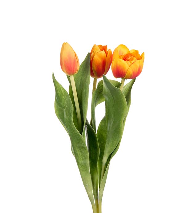 Mr Plant | Kunstige Planter | Tulipan mix orange | 36 cm