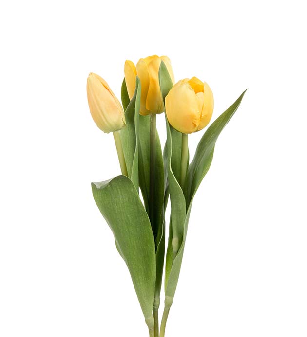 Mr Plant | Kunstige Planter | Tulipan mix gul | 36 cm
