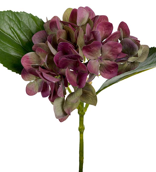 Mr Plant | Kunstige Planter | Hortensia Grønn og lilla | 25 cm