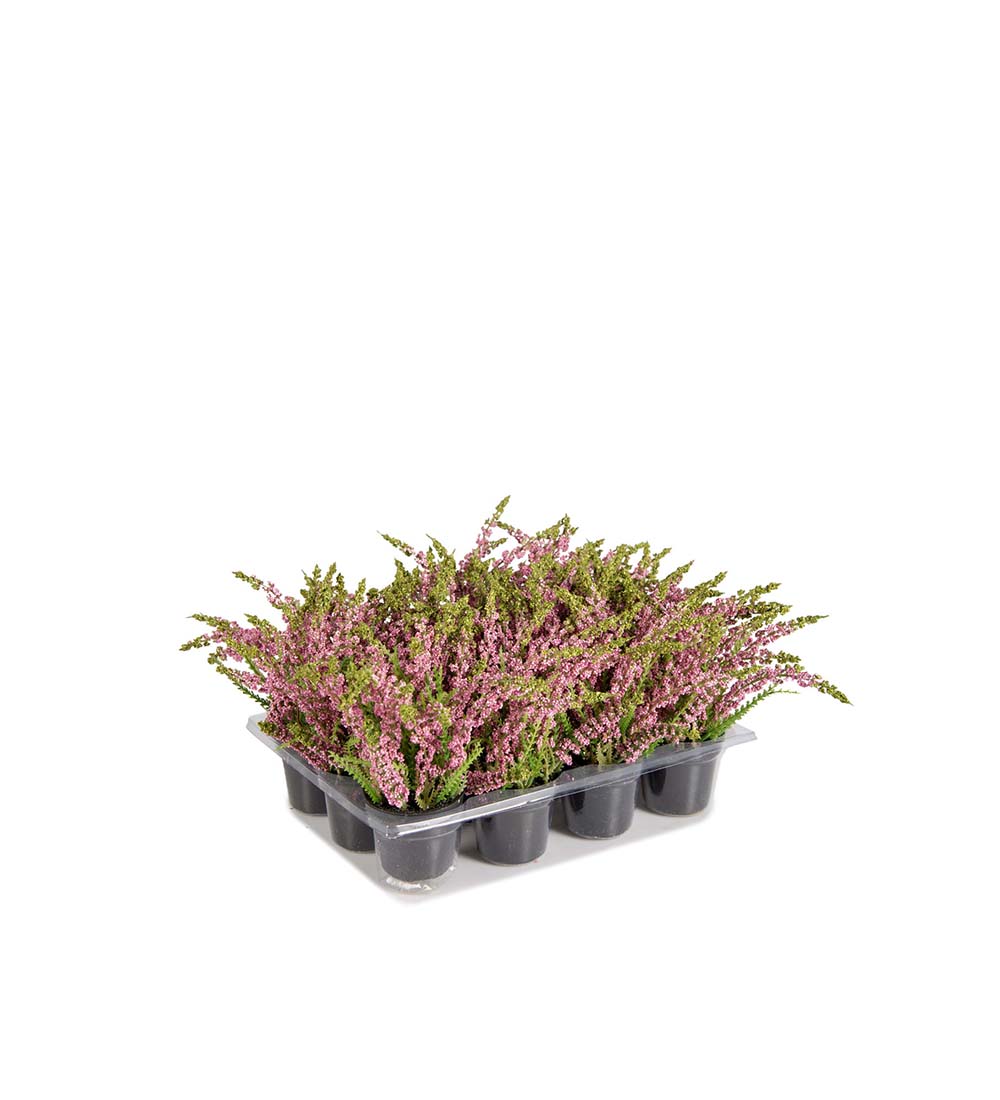 Mr Plant | Kunstige Planter | Lyng | 18 cm