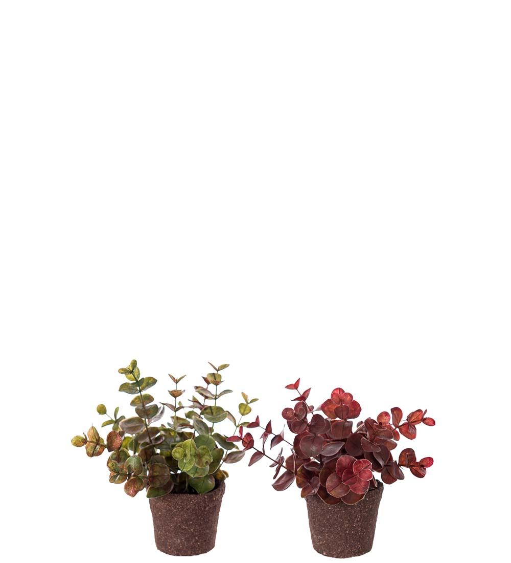 Mr Plant | Kunstige Planter | Eucalyptus | 14 cm