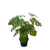 Mr Plant | Kunstige Planter | Monstera | 30 cm