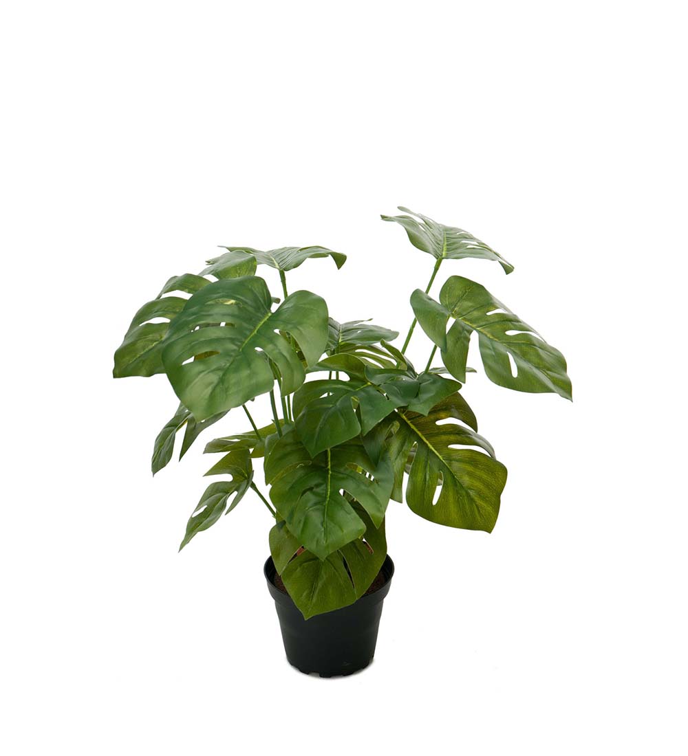 Mr Plant | Kunstige Planter | Monstera | 30 cm