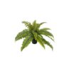 Mr Plant | Kunstige Planter | Ormbunke | 30 cm