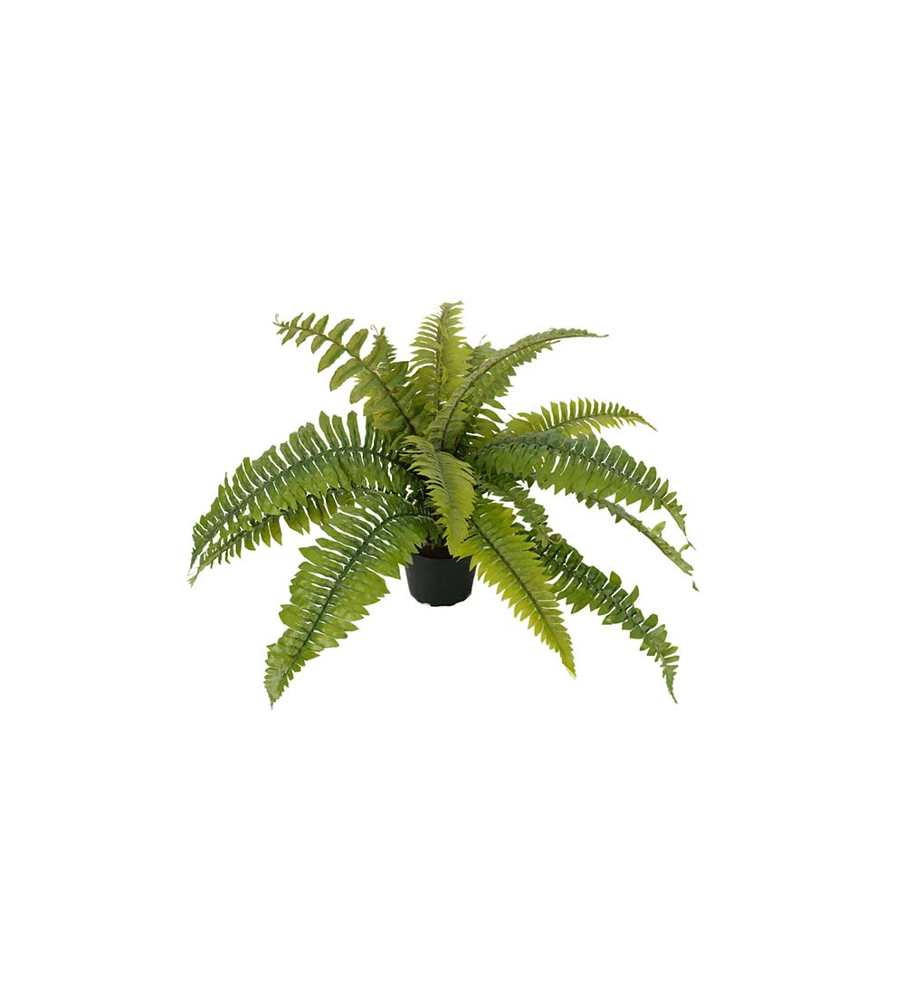 Mr Plant | Kunstige Planter | Ormbunke | 30 cm