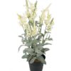 Mr Plant | Kunstige Planter | Veronica hvit | 46 cm