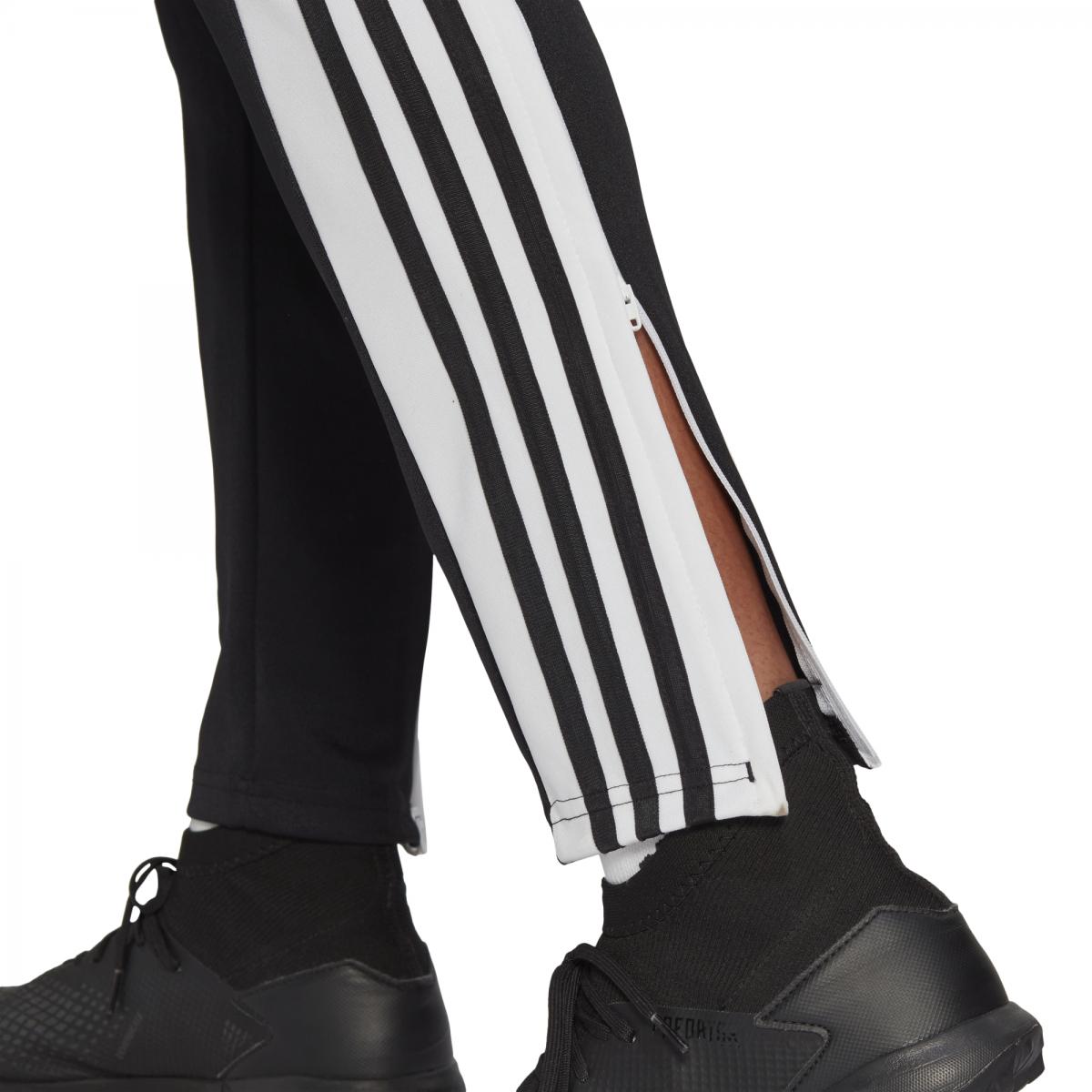 Adidas  Sq21 Tr Pnt(1)