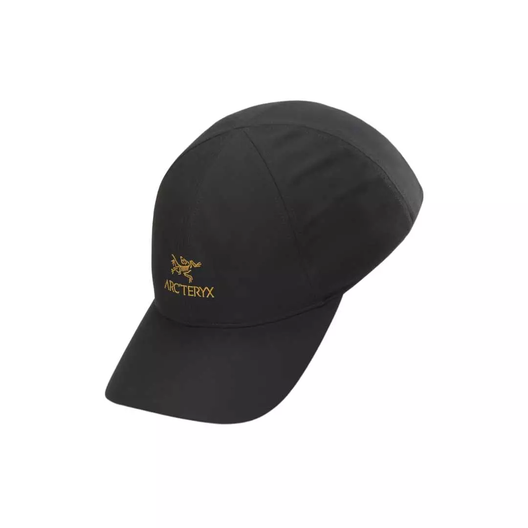 ArcTeryx Bird Word Cap