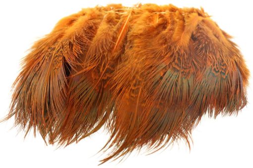 Ringneck Rump Hackle