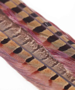 Ringneck Pheasant Tail - 1 pair