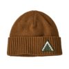 Patagonia  Brodeo Beanie