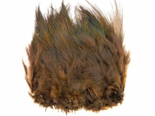 Ringneck Rump Hackle(2237)