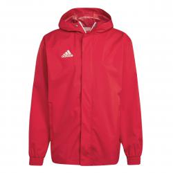 Adidas  Ent22 Aw Jkt