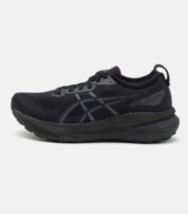 Asics  Gel-Kayano 31