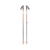 Black Diamond Traverse Ski Poles, Skistaver