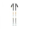 Black Diamond Traverse Pro Ski Poles, Skistaver