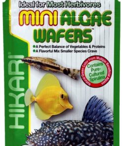 HIKARI Mini Algae Wafers 22g.