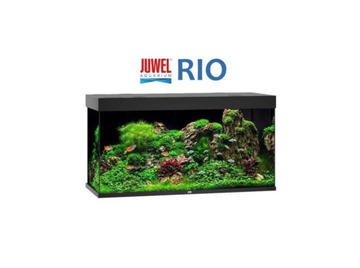RIO Juwel, 350 Liter, Svart