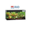 RIO Juwel, 240 Liter, Svart