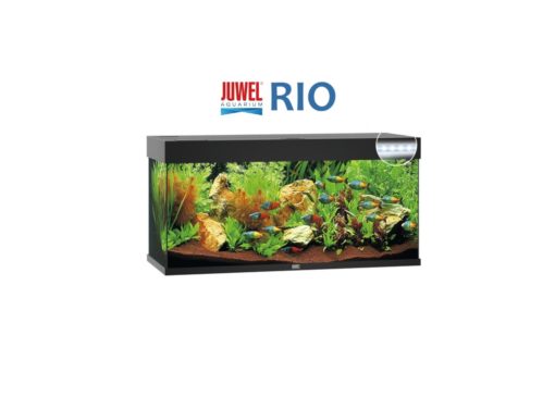 RIO Juwel, 240 Liter, Svart