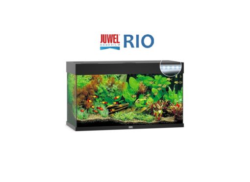 RIO Juwel, 125 Liter, Svart