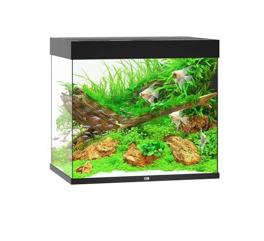 LIDO 200 Juwel, Led, Svart, 70x51x65cm.