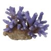 AKVARIEDEKOR Korall Lilla  15,5 x 12 x 10cm