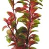 PLASTPLANTE Marina, RedLudwigia, 12,5cm.