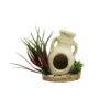AMFORA m/plante, Sydeco, 13cm.