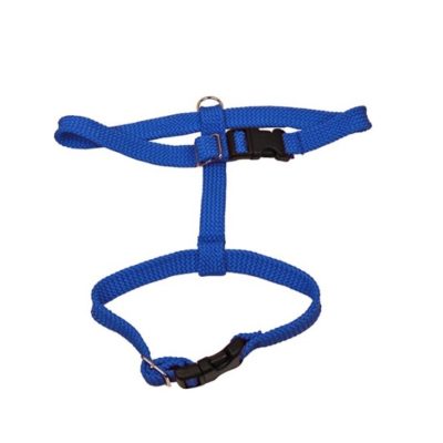 Alac Kattsele Blå 15Mm