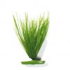Plastvekst Hairgrass 20Cm