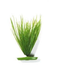 Plastvekst Hairgrass 20Cm