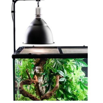 Lys, varme og tilbehør