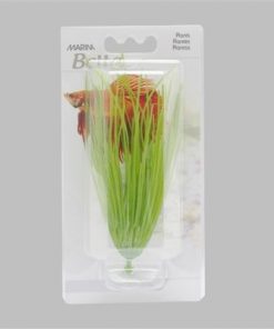 PLASTPLANTE Marina, Betta, m./Sugekopp