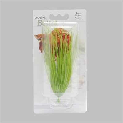 PLASTPLANTE Marina, Betta, m./Sugekopp