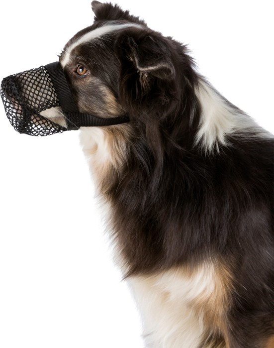 Munnkurv, Giftbeskyttelse, Polyester, M–L, Sort