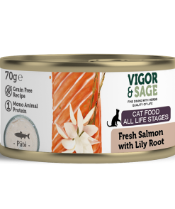 VS Lily Root & Fresh Salmon Cat Food-70G Can